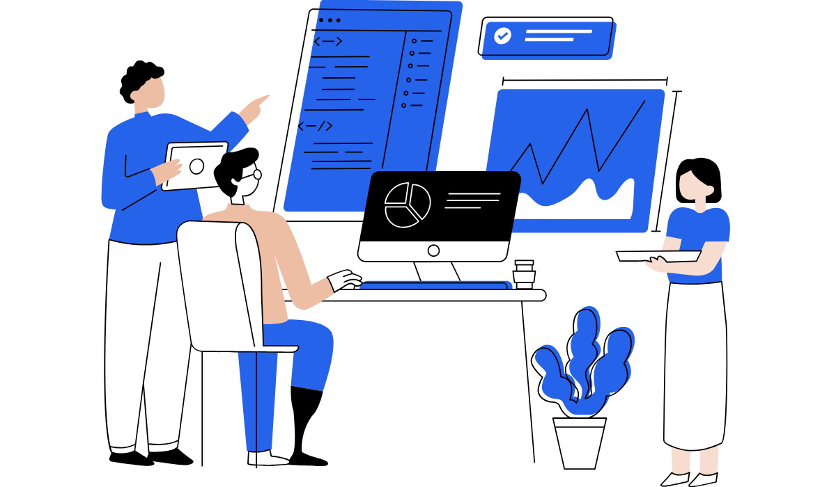 echipa dezvoltare web